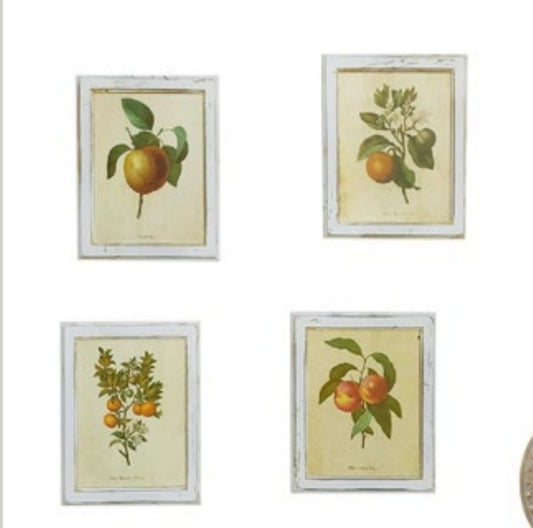 Set 4 quadri L'arte di Nacchi